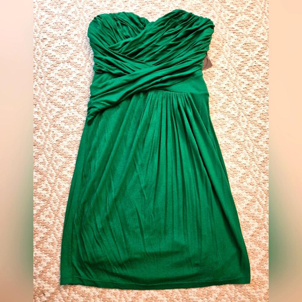 Express strapless dress